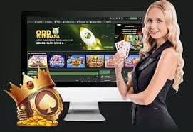 qq484